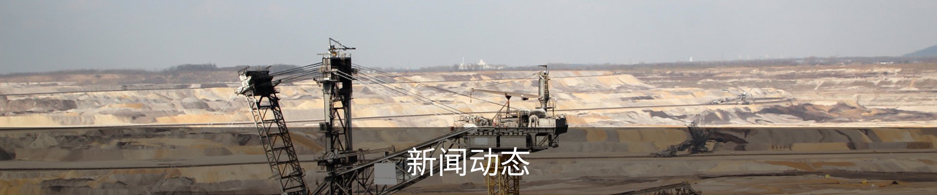 新闻动态