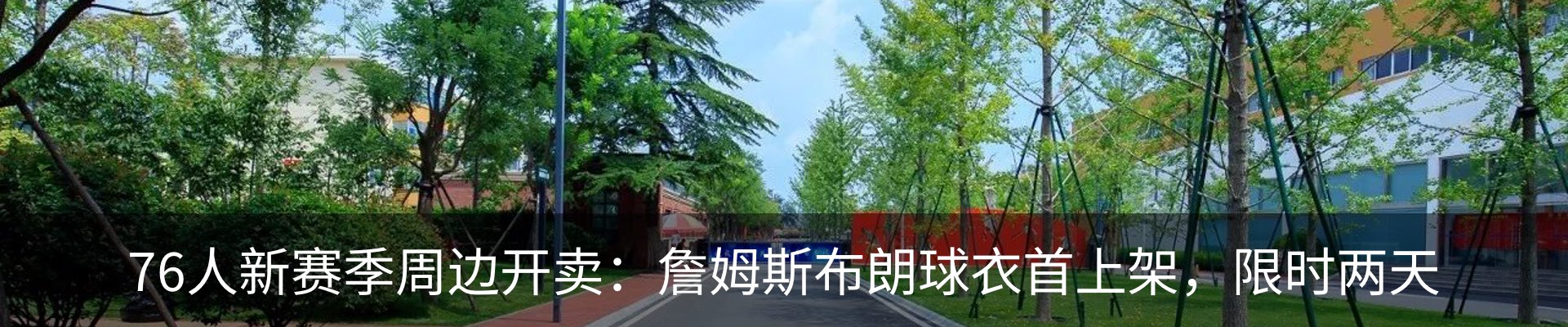 新闻动态